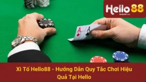 Xì Tố Hello88 - Hướng Dẫn Quy Tắc Chơi Hiệu Quả Tại Hello 8 Xì Tố Hello88 - Hướng Dẫn Quy Tắc Chơi Hiệu Quả Tại Hello